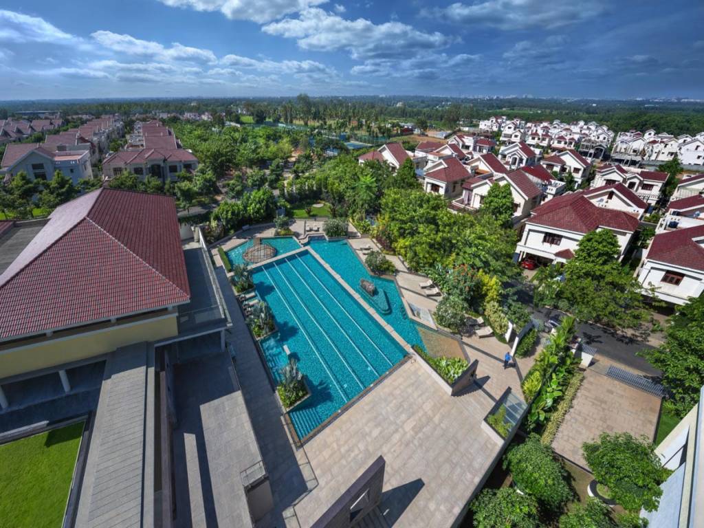  bellezea phase v Others