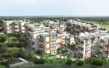 Ecopolitan