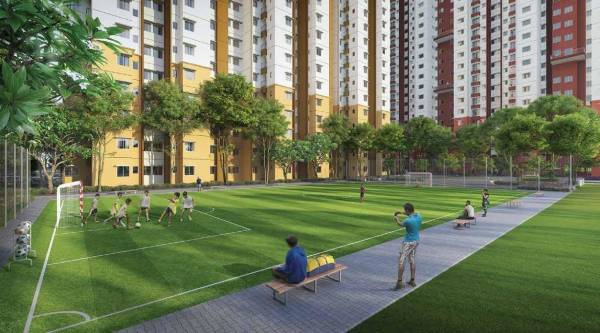  sunshine-one Images for amenities