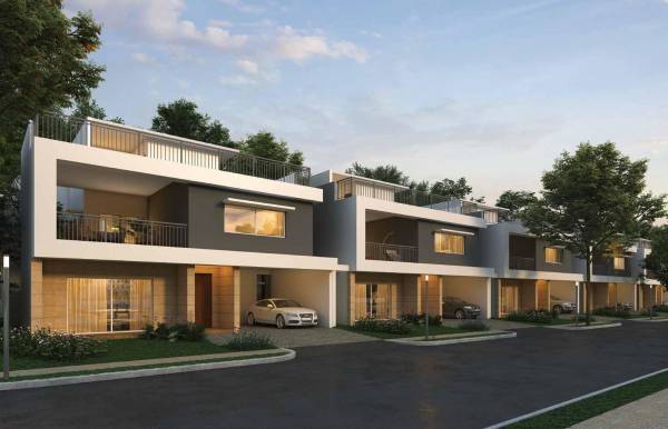  sanctuary Images for Project