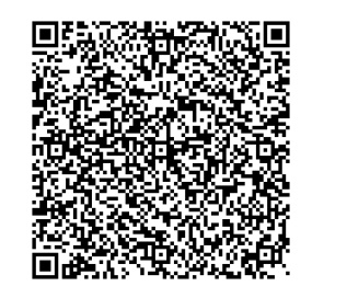 QR Image