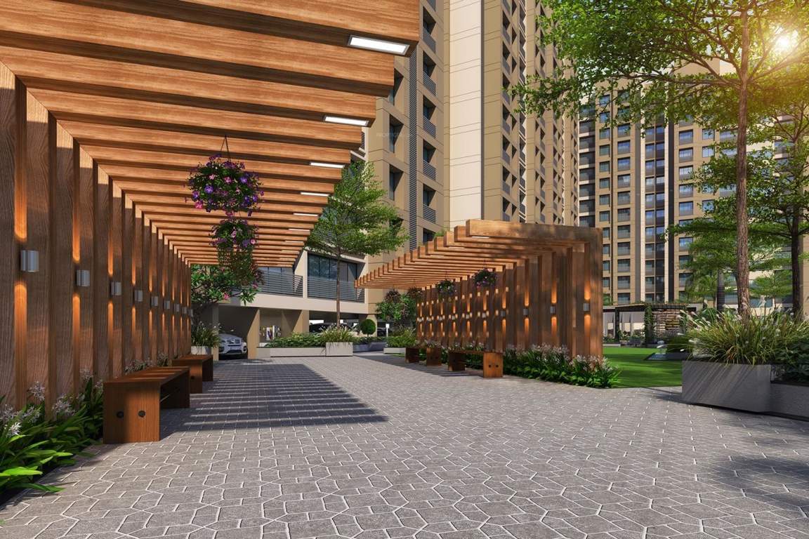  orchid fantasia Others