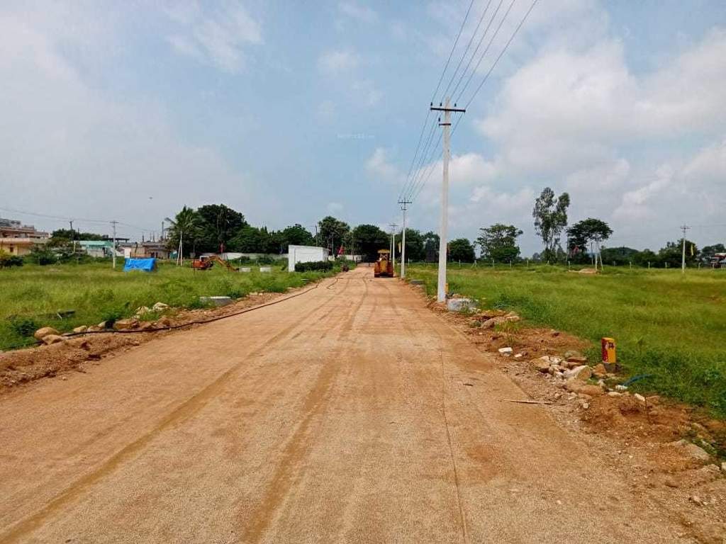 Images for mainOther