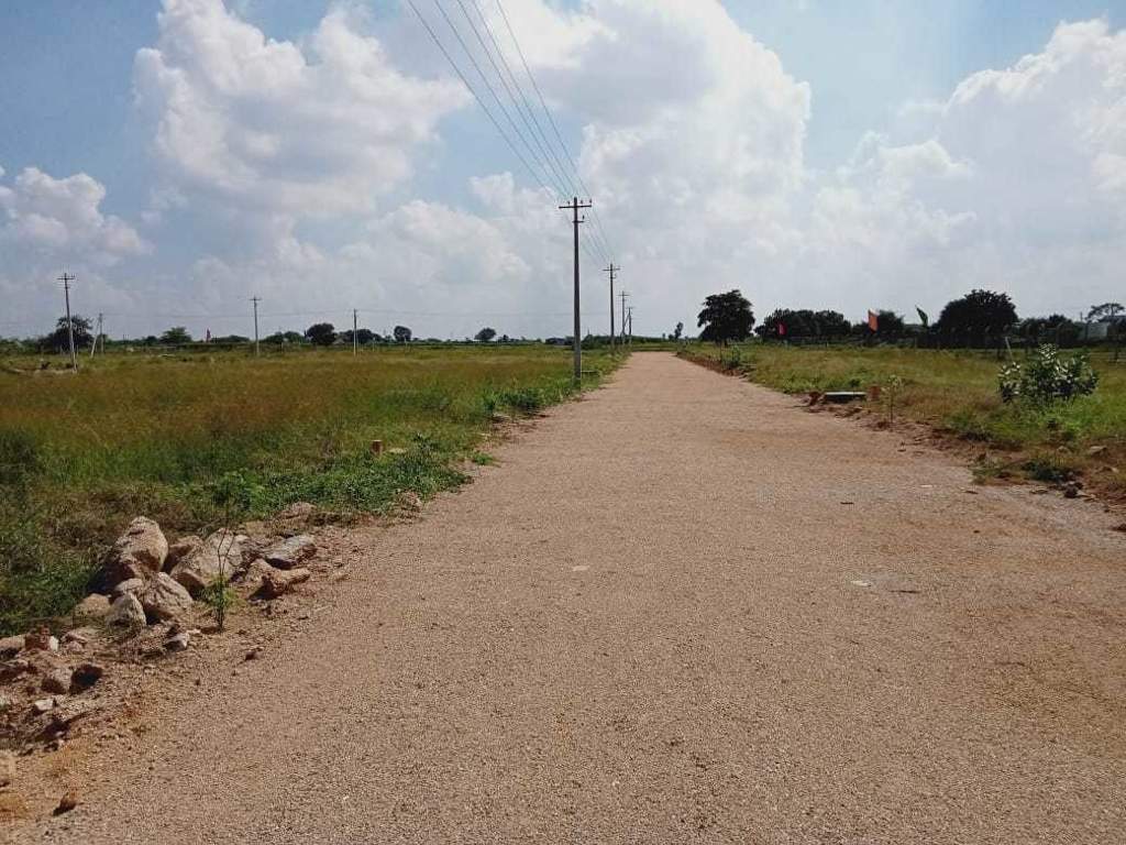 Images for mainOther