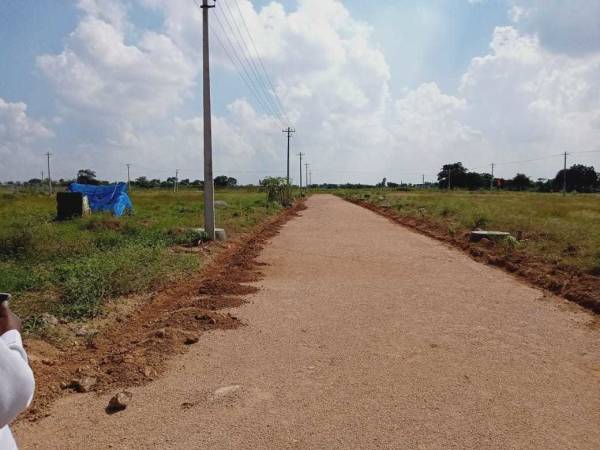 Images for mainOther