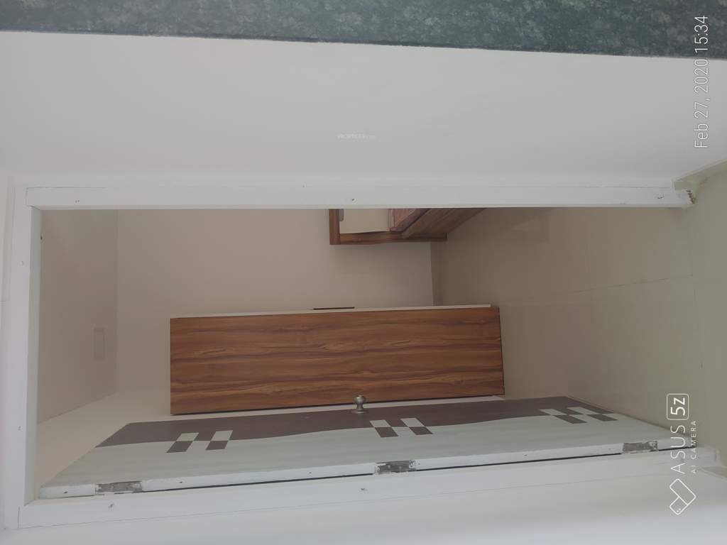  the green orchid Images for mainOther