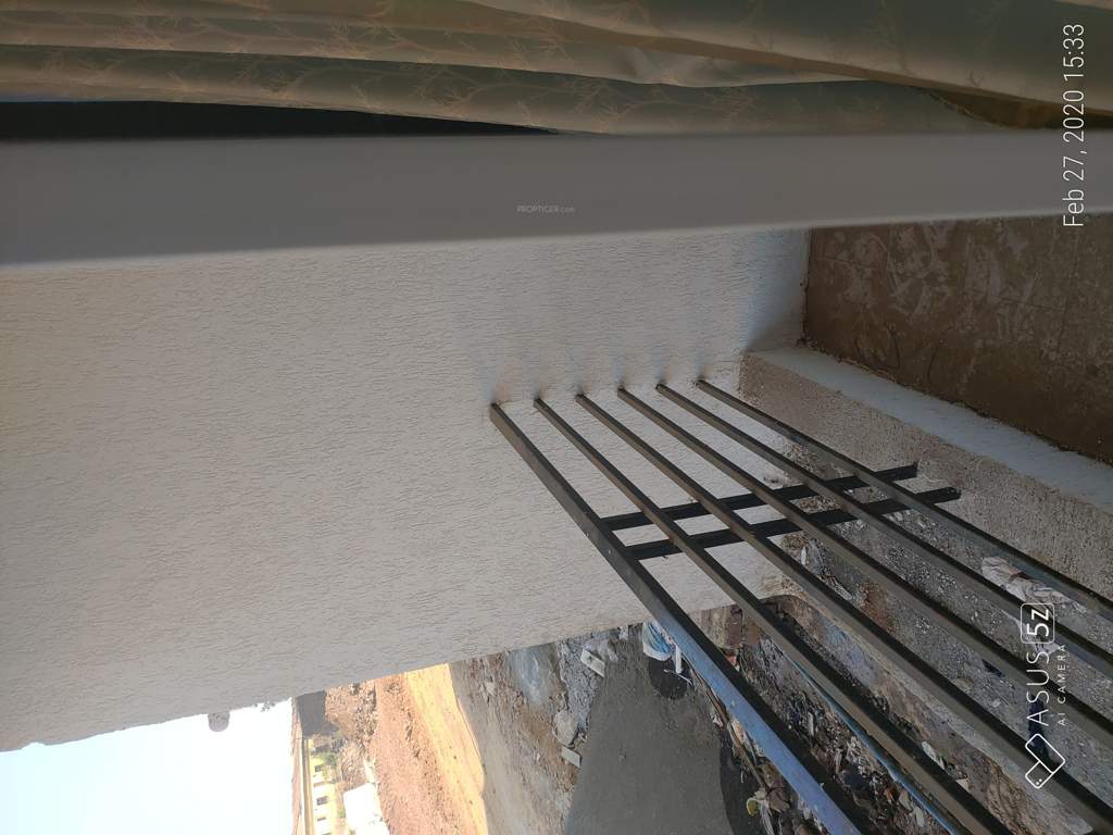  the green orchid Images for mainOther