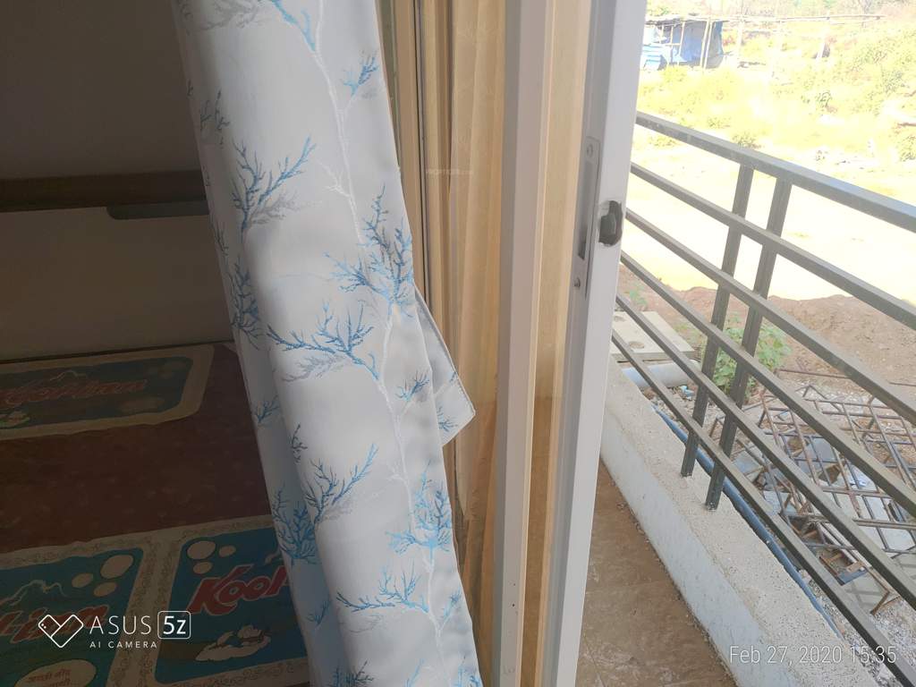  the green orchid Images for mainOther