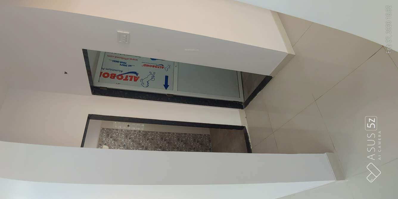  the green orchid Images for mainOther