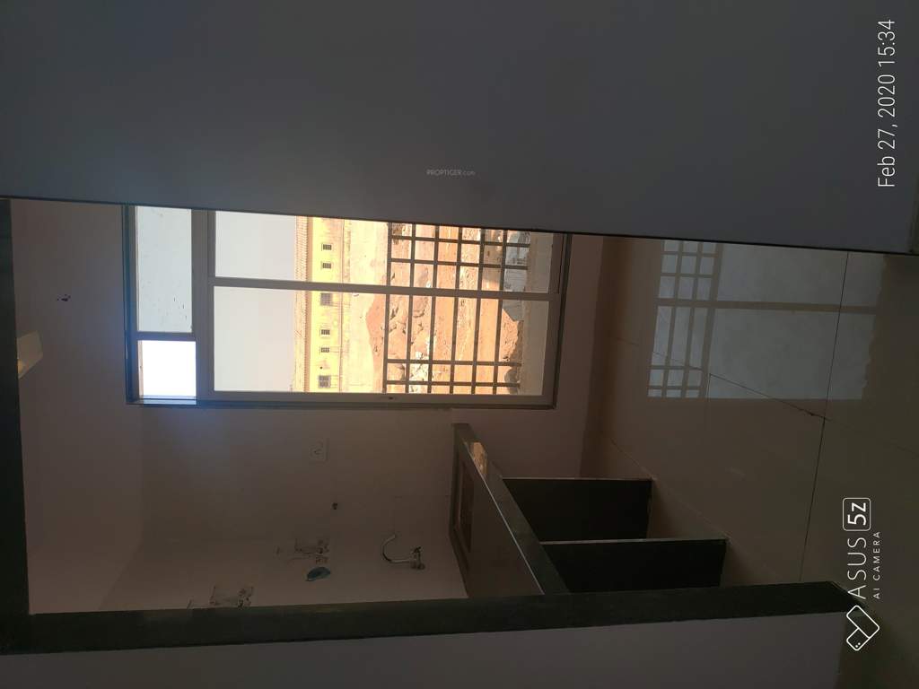  the green orchid Images for mainOther