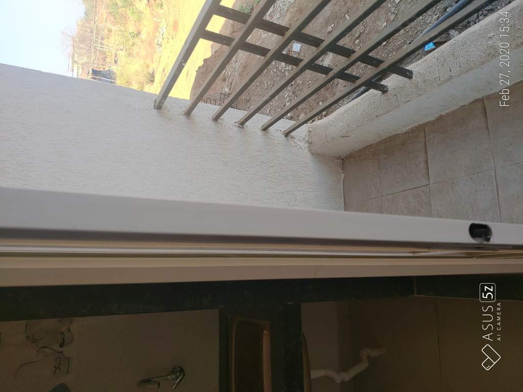  the green orchid Images for mainOther