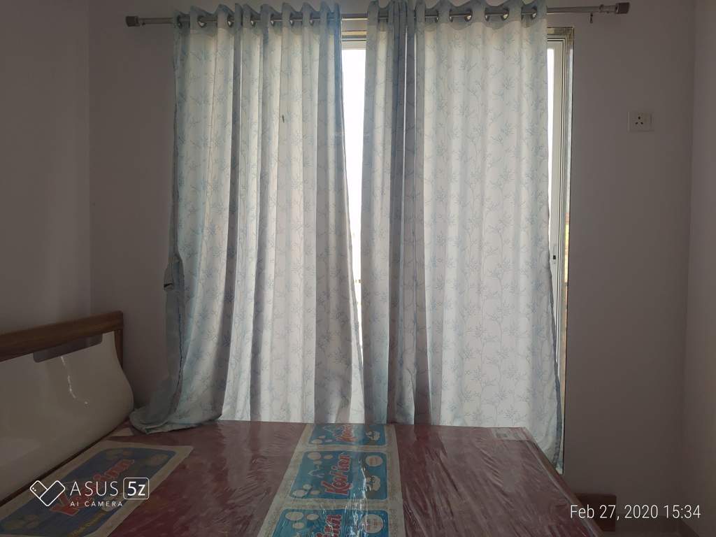  the green orchid Images for mainOther