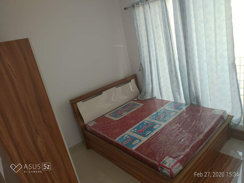  the green orchid Images for mainOther