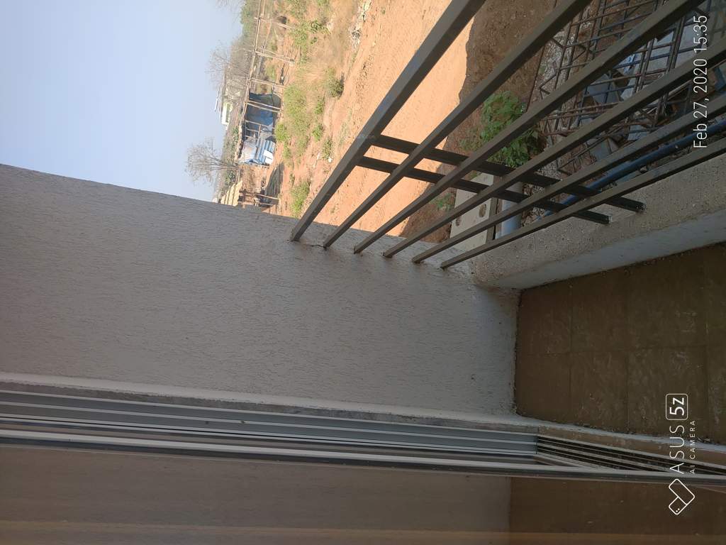  the green orchid Images for mainOther