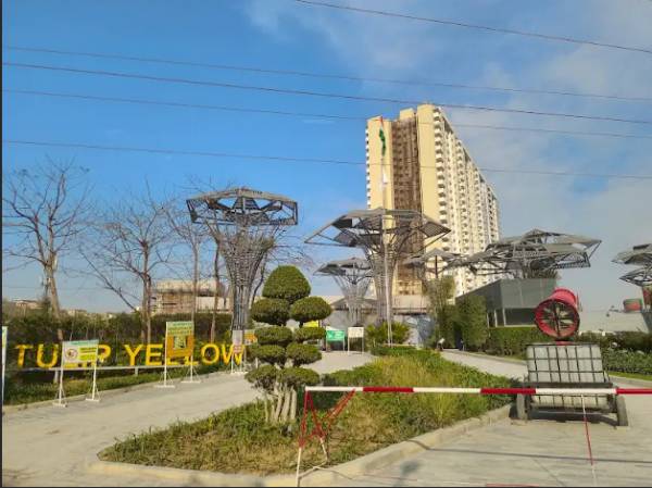  yellow Construction Status May-24