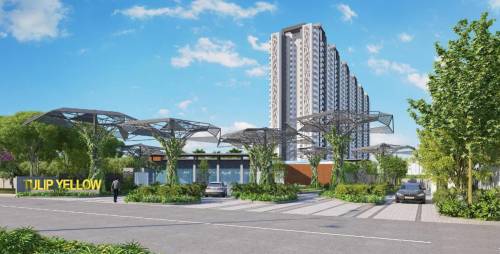 yellow Images for Project