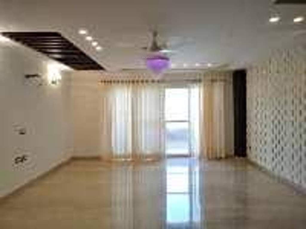 Images for mainOther