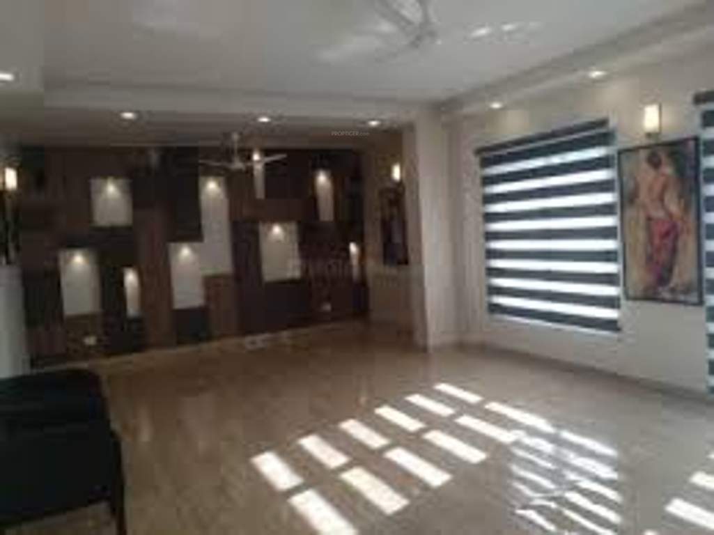 Images for mainOther