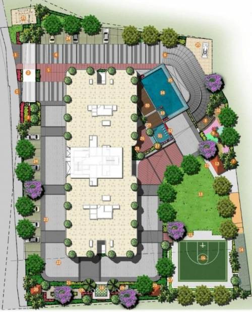  pennantia Images for masterPlan