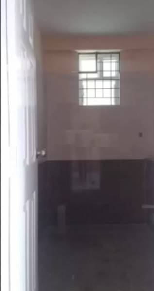 Images for mainOther