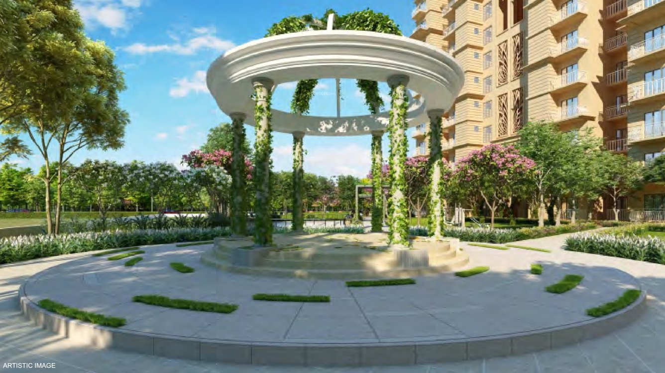  global aspire Senior Citizen Sitout