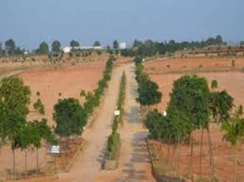  health city phase 1 Landscaped Gardens