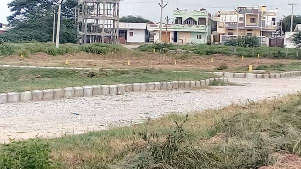 Images for mainOther