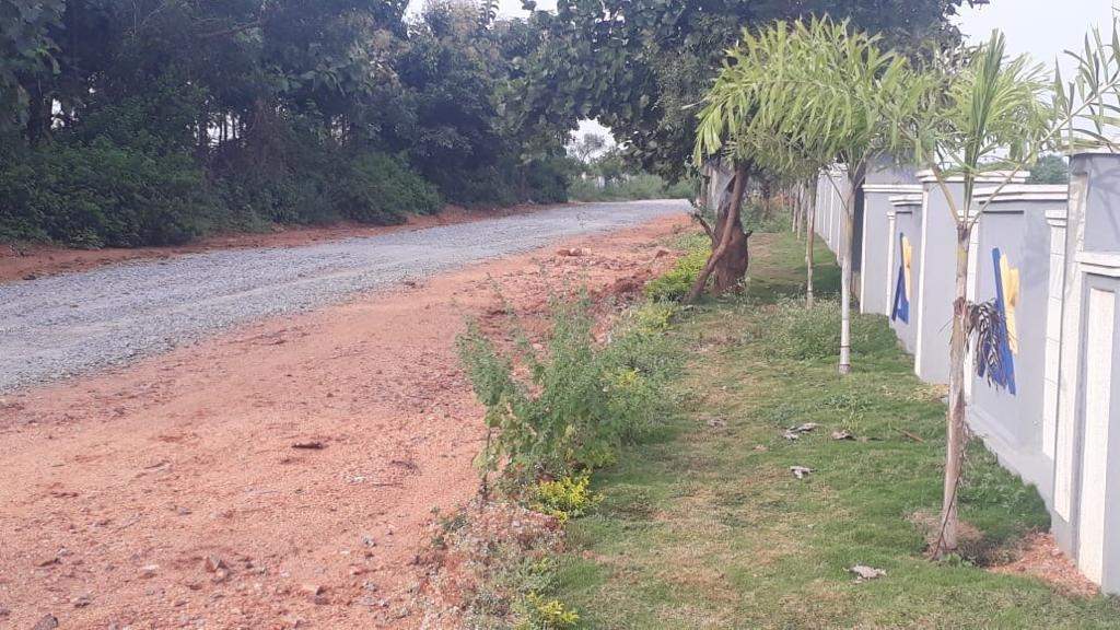  golden pride Construction Status Nov 20