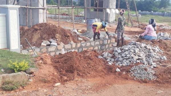  golden-pride Construction Status Nov-20