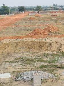  golden pride Elevation