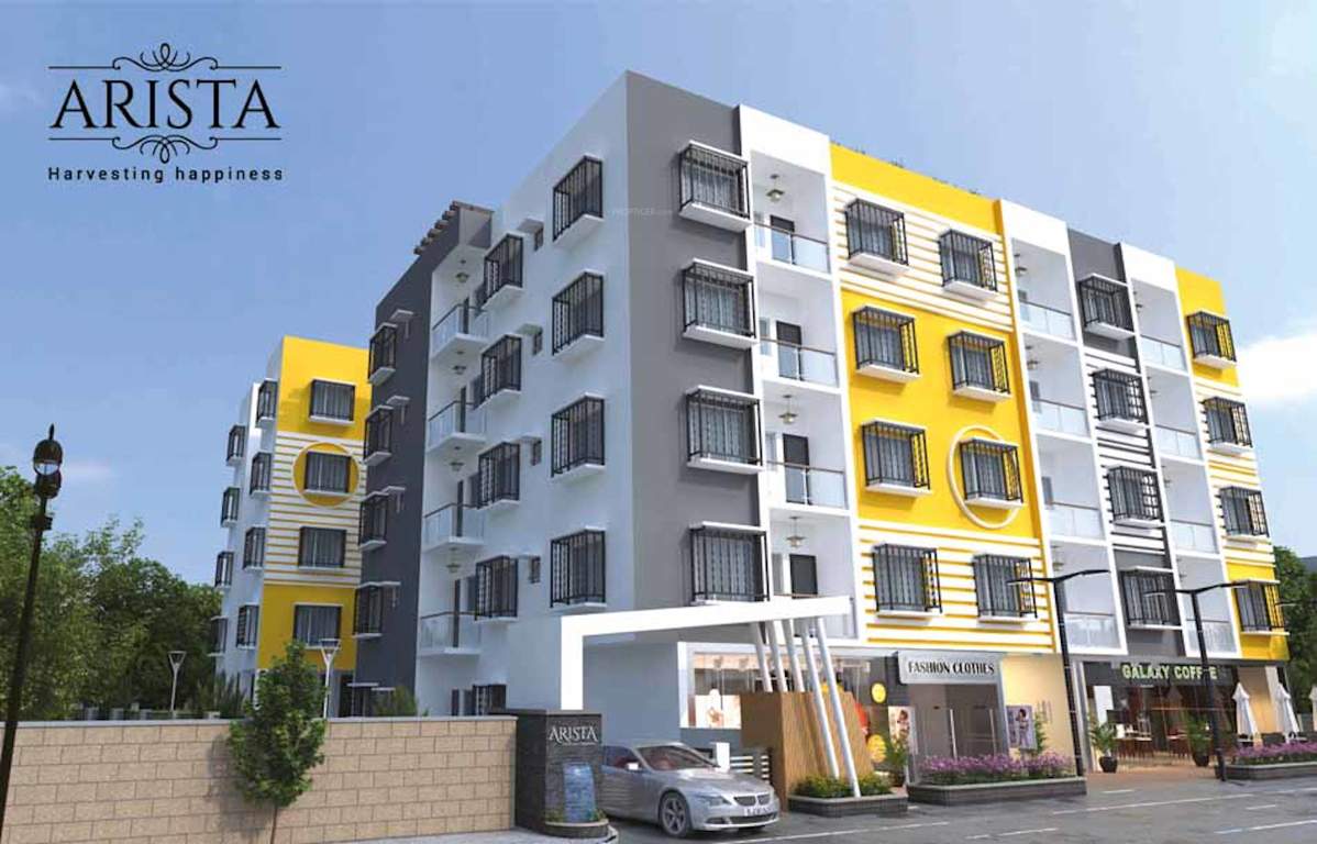 arista Elevation