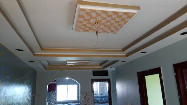 Images for mainOther