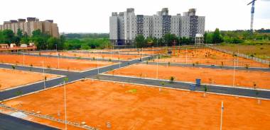 Elevation orchid-park Elevation