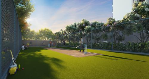  hermosa-casa Cricket arena