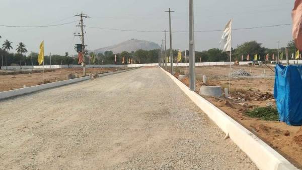  sunshine-lotus Elevation