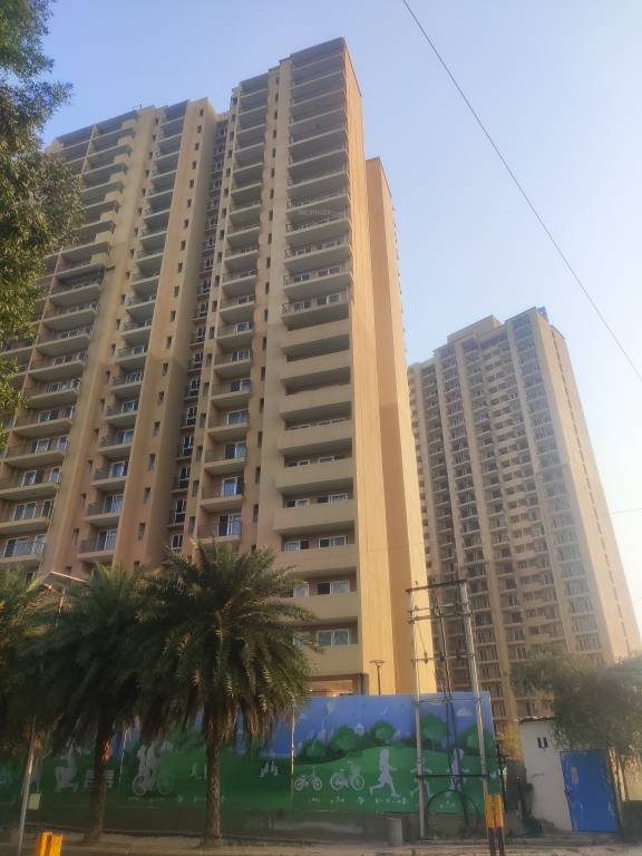  value homes Elevation