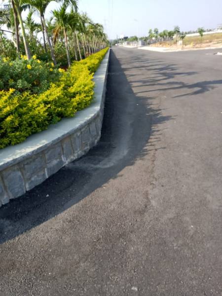 Images for mainOther