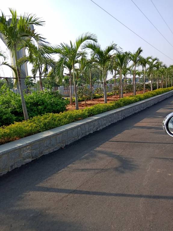 Images for mainOther