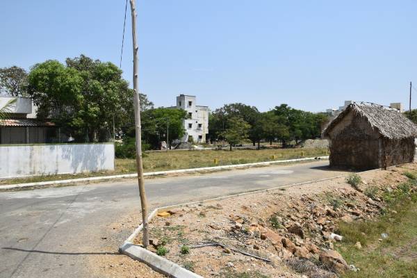 Images for mainOther