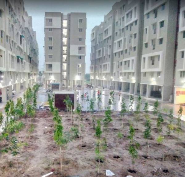  gold-plus-2 Landscaped Gardens