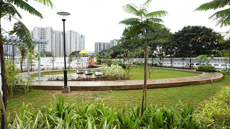  ch40 Landscape Garden and Tree Planting