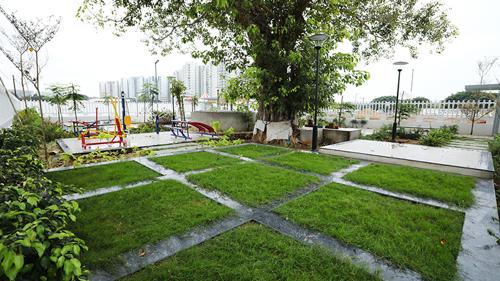  ch40 Landscape Garden and Tree Planting