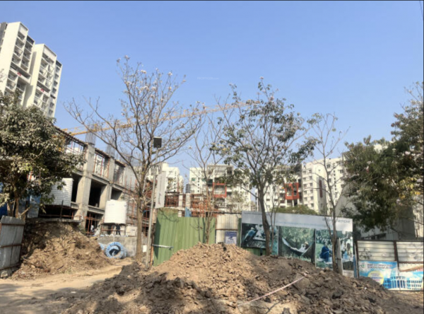 Construction Status March-25 forest-grove Construction Status March-25