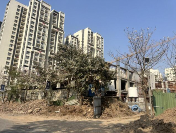 Construction Status March-25 forest-grove Construction Status March-25