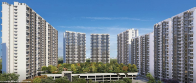  forest-grove Elevation