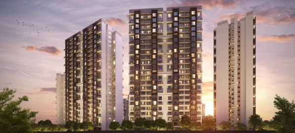 Elevation forest-grove Elevation