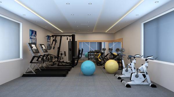  rainbow-haven Gymnasium