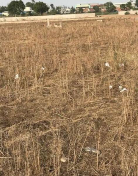 Images for Project Images for Project