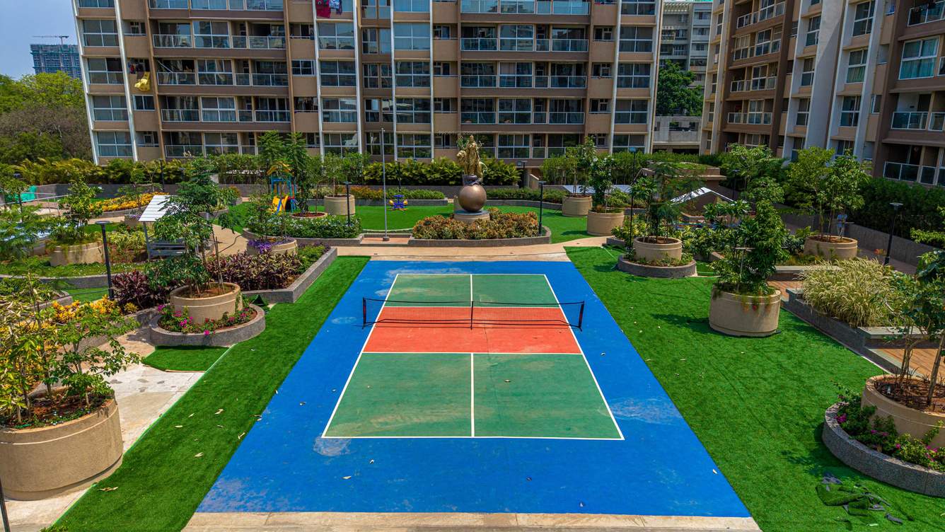  amozon Tennis Court