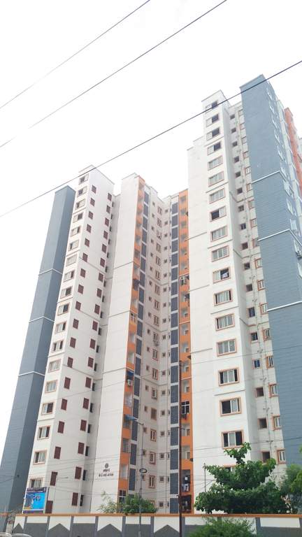  260 lig flats korattur Elevation